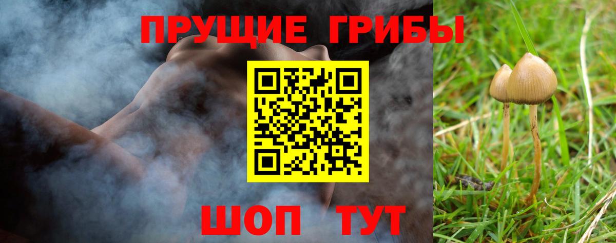 Елабуга  Псилоцибиновые грибы Psilocybine cubensis  Вход с VPN  Псилоцибиновые грибы мухоморы 